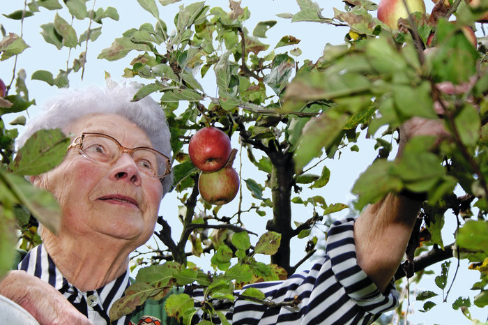 Duden Oma Rechtschreibung Bedeutung Definition Herkunft 6393