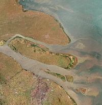 Delta Delta