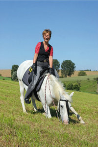 Dresseur - Ein Pferd bei der Dressur Dresseur - Ein Pferd bei der Dressur