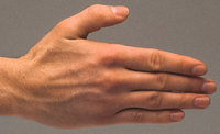 Handrücken - Handrücken und Finger