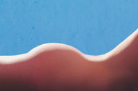 Hintern - Ein nackter Hintern Hintern - Ein nackter Hintern