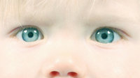 Kinderauge - Augenpaar eines Kindes