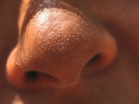 Nasenloch