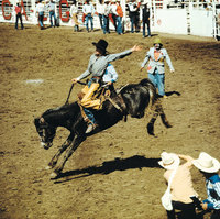Rodeo Rodeo