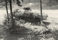 Schützenpanzer - getarnter Schützenpanzer Schützenpanzer - getarnter Schützenpanzer
