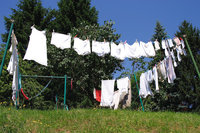 Trockenplatz - Wäsche auf einem Trockenplatz