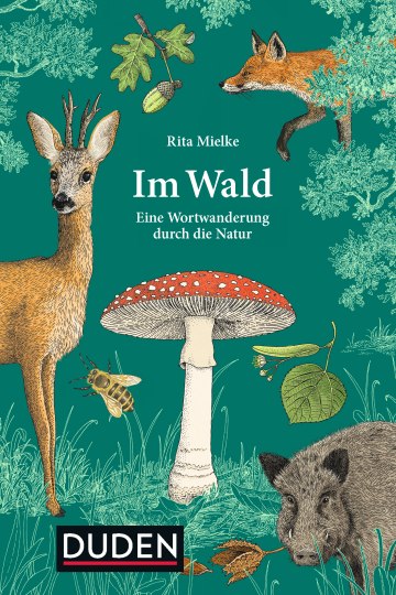 Im Wald Im Wald