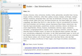 Screenshot: die Duden-Bibliothek unter Windows